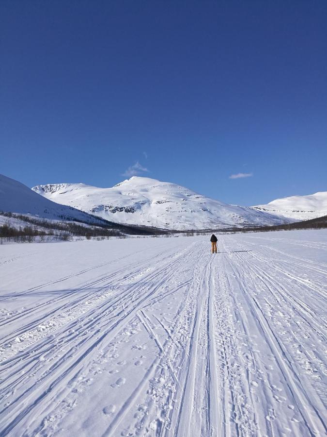 Vila Lapphaugen Turiststasjon Tennevoll Exteriér fotografie