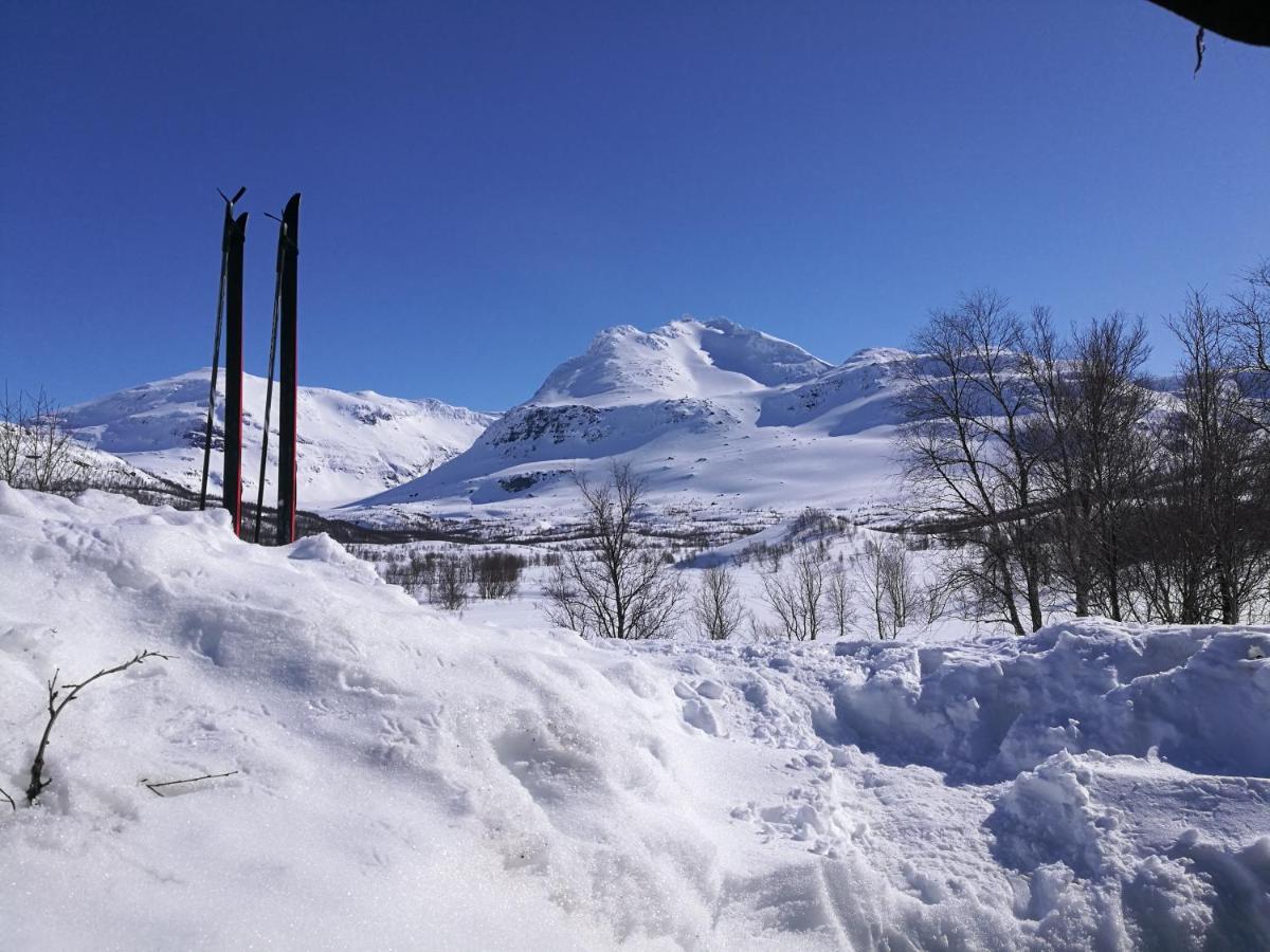 Vila Lapphaugen Turiststasjon Tennevoll Exteriér fotografie