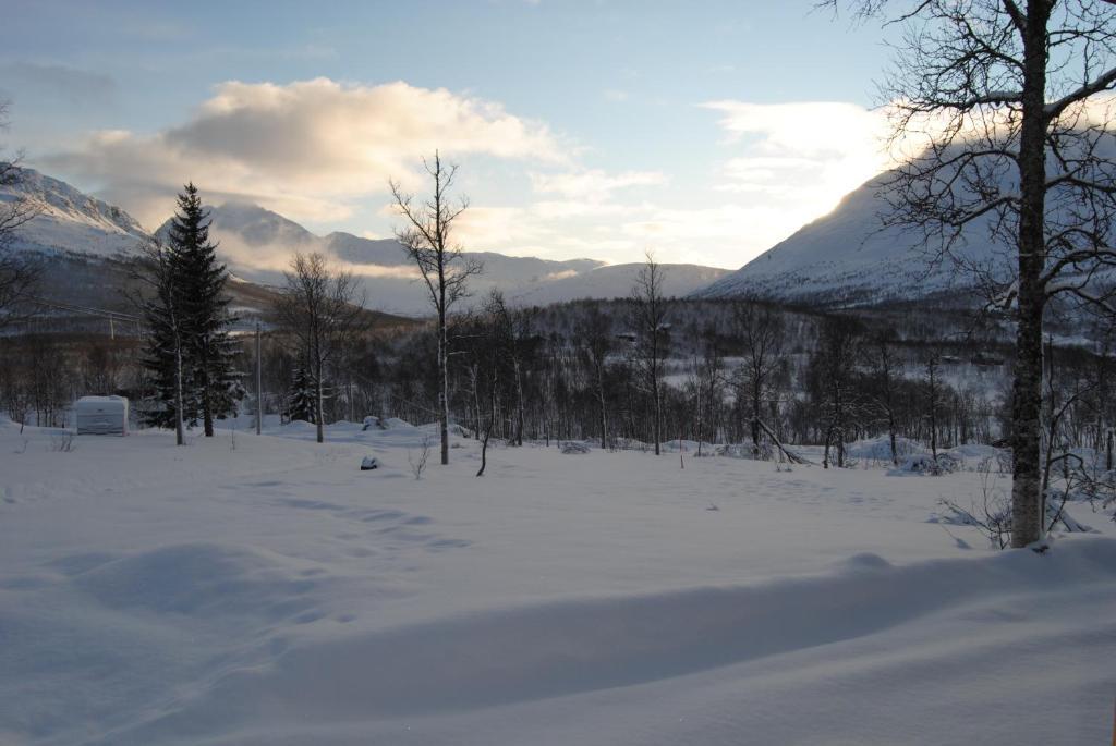 Vila Lapphaugen Turiststasjon Tennevoll Pokoj fotografie