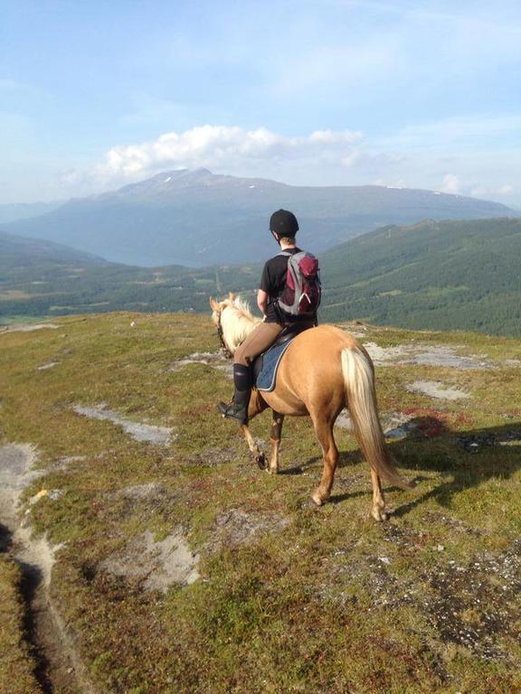 Vila Lapphaugen Turiststasjon Tennevoll Exteriér fotografie