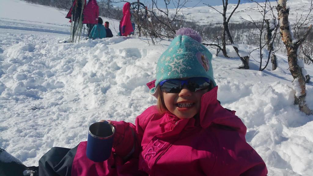 Vila Lapphaugen Turiststasjon Tennevoll Exteriér fotografie