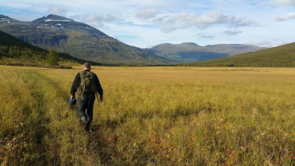 Vila Lapphaugen Turiststasjon Tennevoll Exteriér fotografie